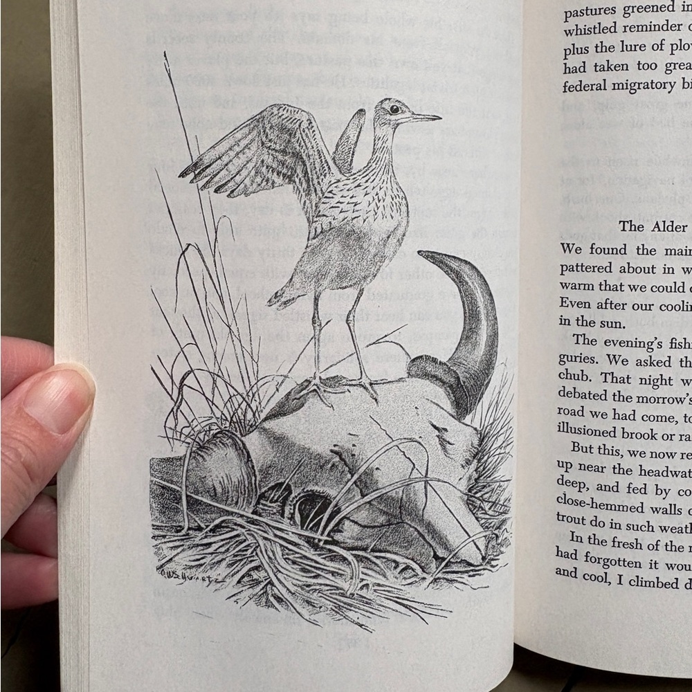 1968 A Sand County Almanac Aldo Leopold Nature Sketches Season Naturalist Gift - Picture 7 of 10
